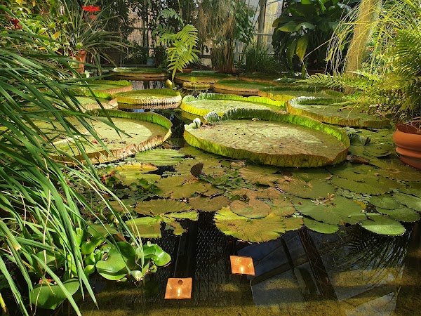 Botanisk hage – Utendørs, Oslo