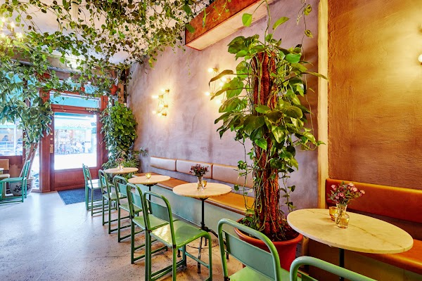 Torggata Botaniske – Bar, Oslo